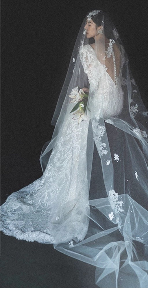 Bride in a white wedding dress with a long veil against a black background