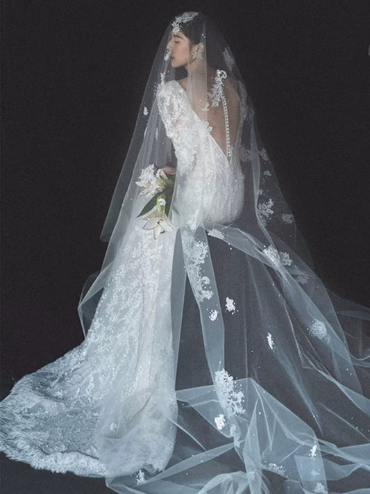 Cathedral-Length Lace Appliqué Veil